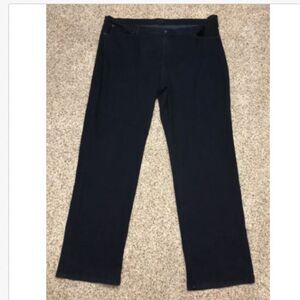 James Jeans Plus Size 28 Inseam 35 Hunter Curvy